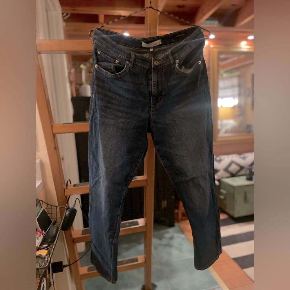 Ella Moss Jeans Size 10/30